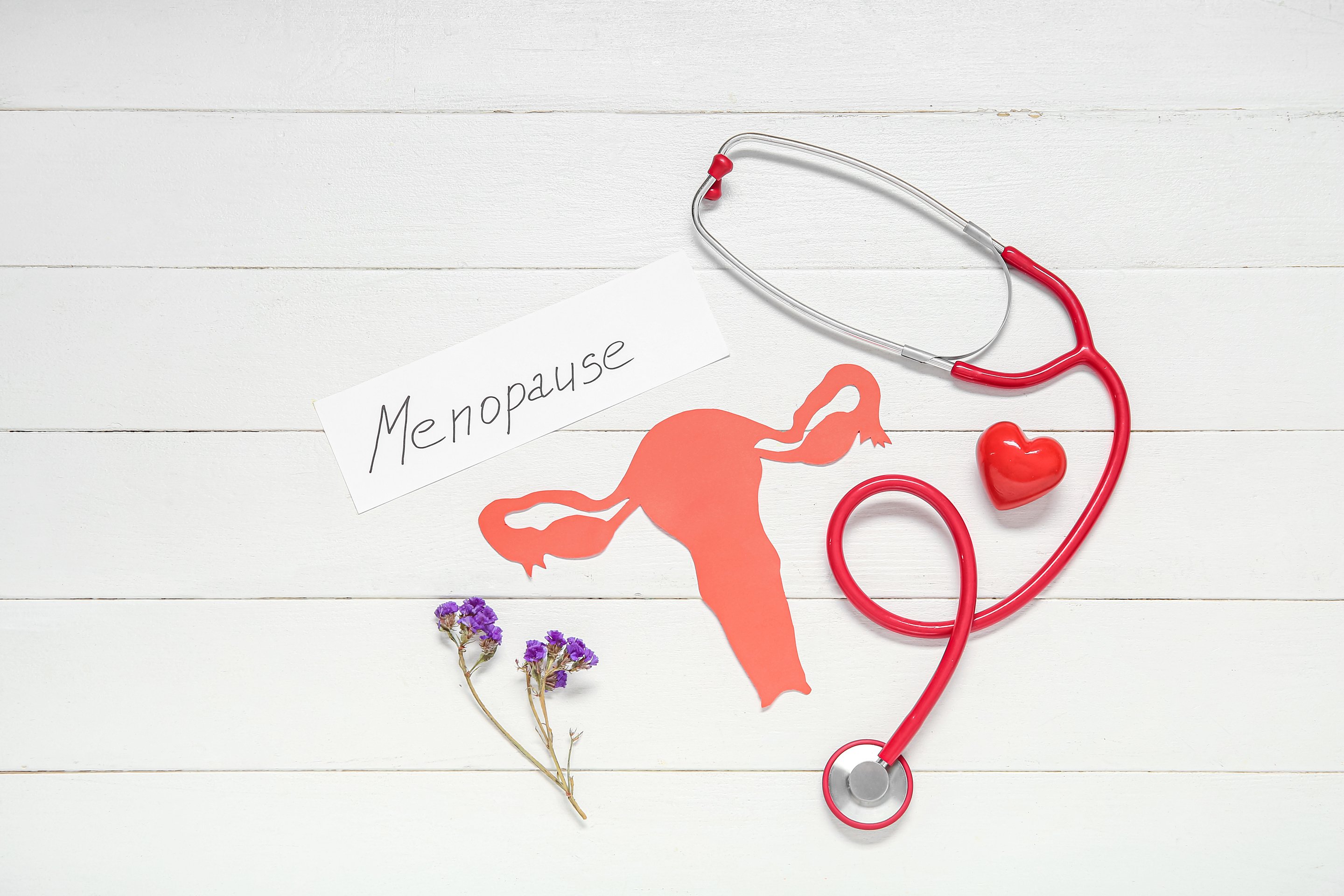 Word MENOPAUSE with Paper Uterus, Flowers and Stethoscope on White Wooden Background